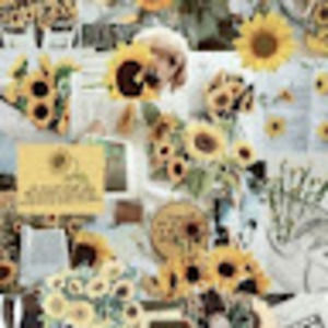 Meet your Posher, Macy